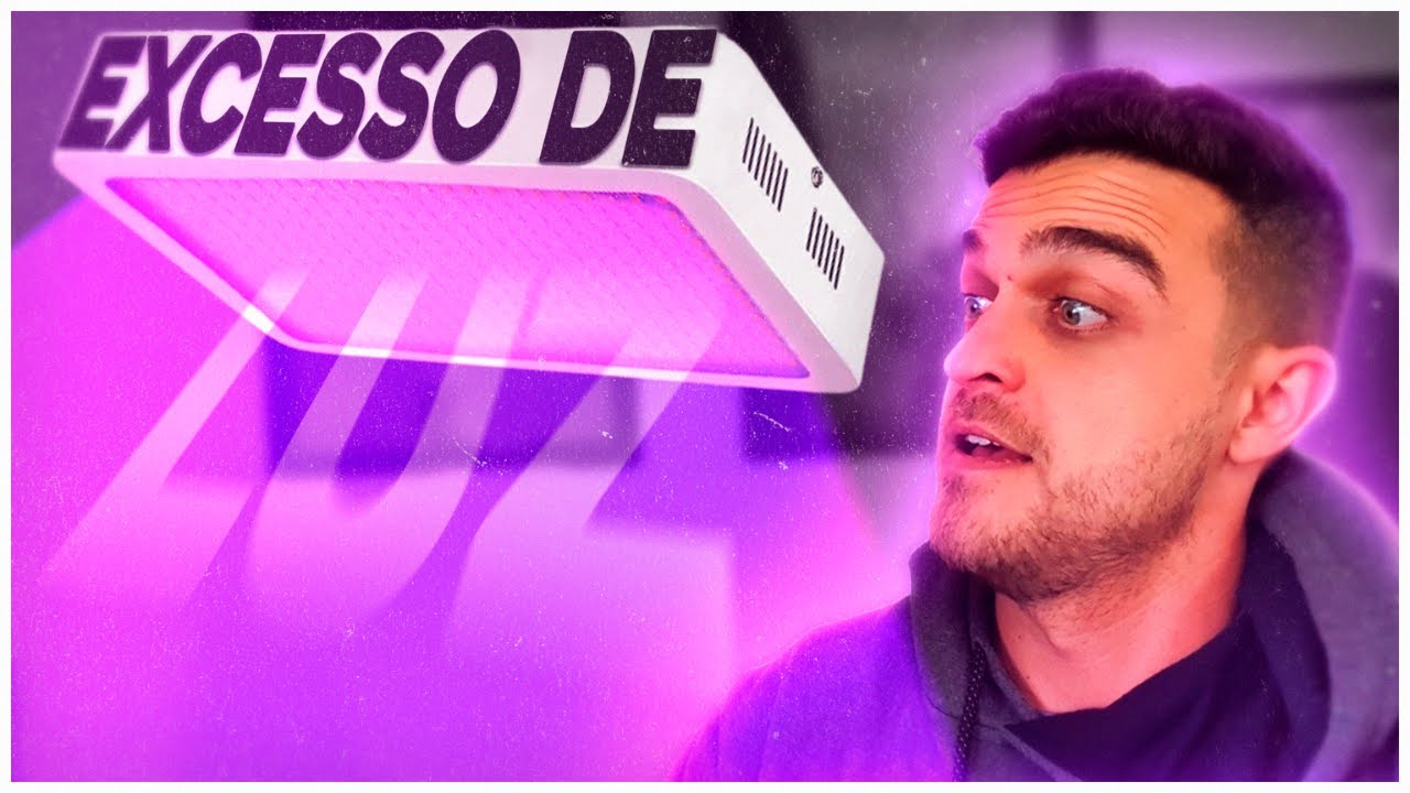 Excesso de luz no cultivo indoor