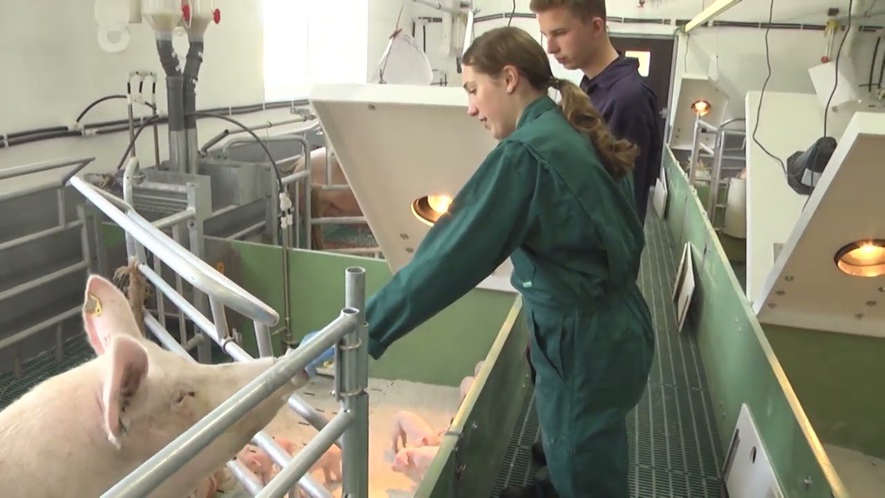 Ausbildungsbetrieb des Jahres 2022  im Beruf Landwirt*in: Betrieb Marxen, Ketelsby/Boren
