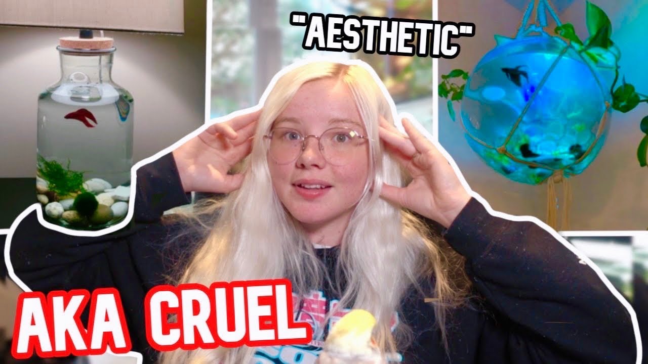 “Aesthetic” Cruel Fish Tanks