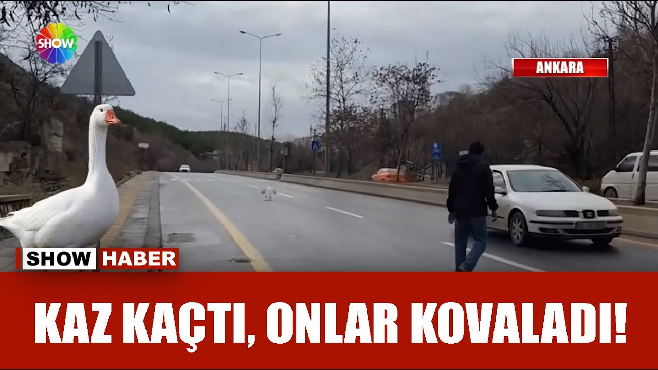Kaz firarda!