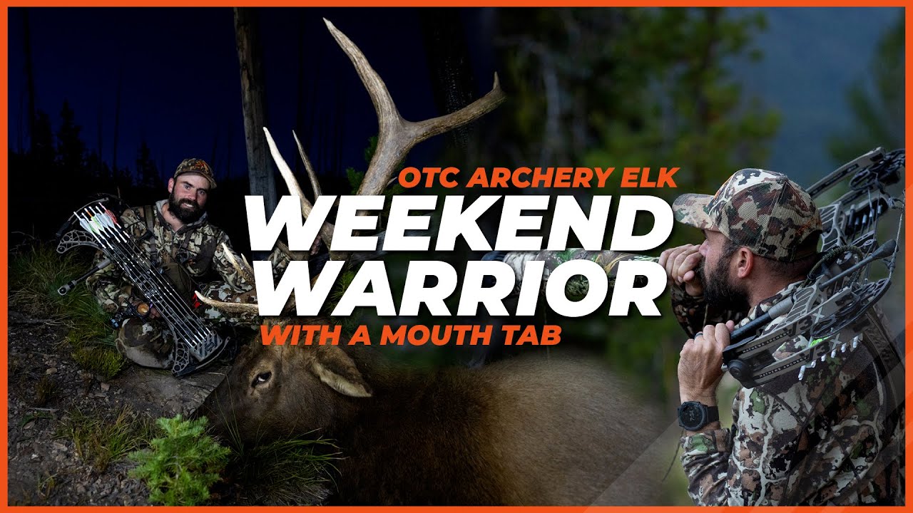 Weekend Warrior | OTC Archery Elk with a mouth tab