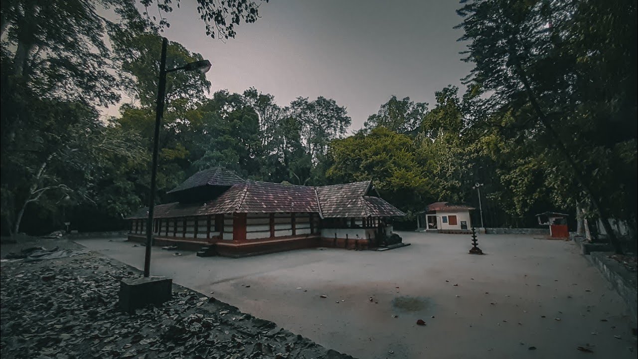 Iringole kavu | forest | cinematic forest | perumbavoor