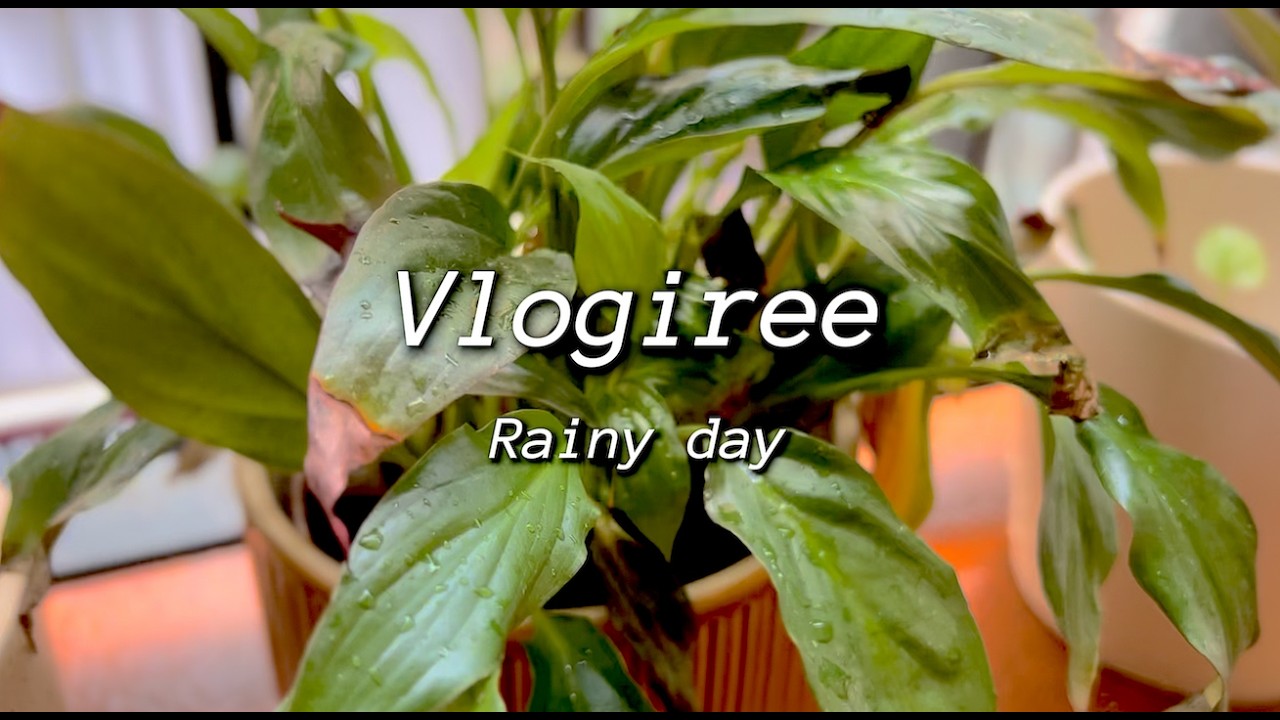 [Vlog silencioso] [activa subtítulos] Haciendo croquetas en un día de lluvia ☔️
