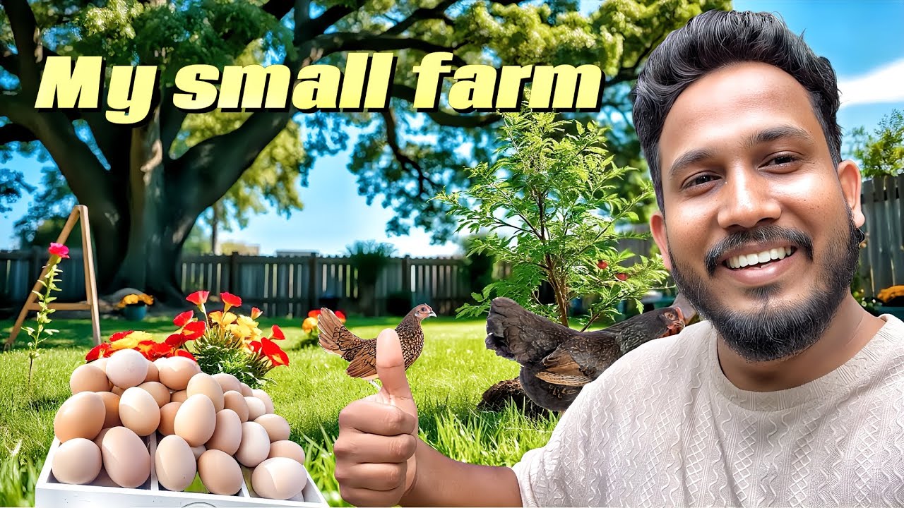ඉල්ලුමට සැපයුම දෙන්නත් බැරි හැමොම හොයන වර්ගවල මගෙ ගොවිපලේ අලුත් සාමාජිකයෝ😍🐣