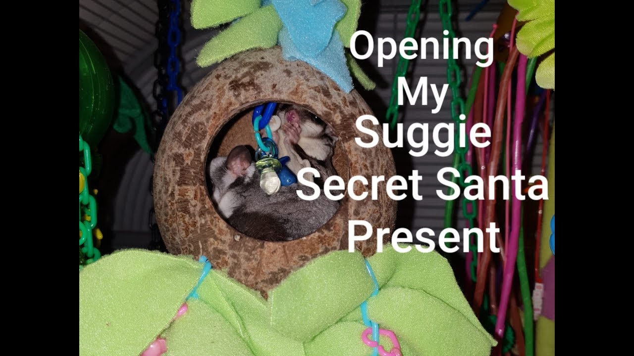 Opening My Secret Suggie Santa Present