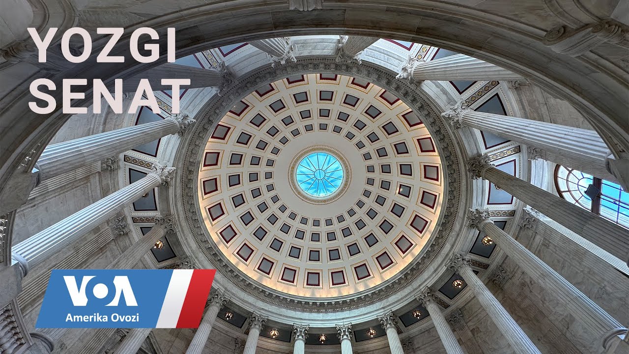 AQSh Senati yozda nima bilan band? #ussenate #uscongress #uselections2024