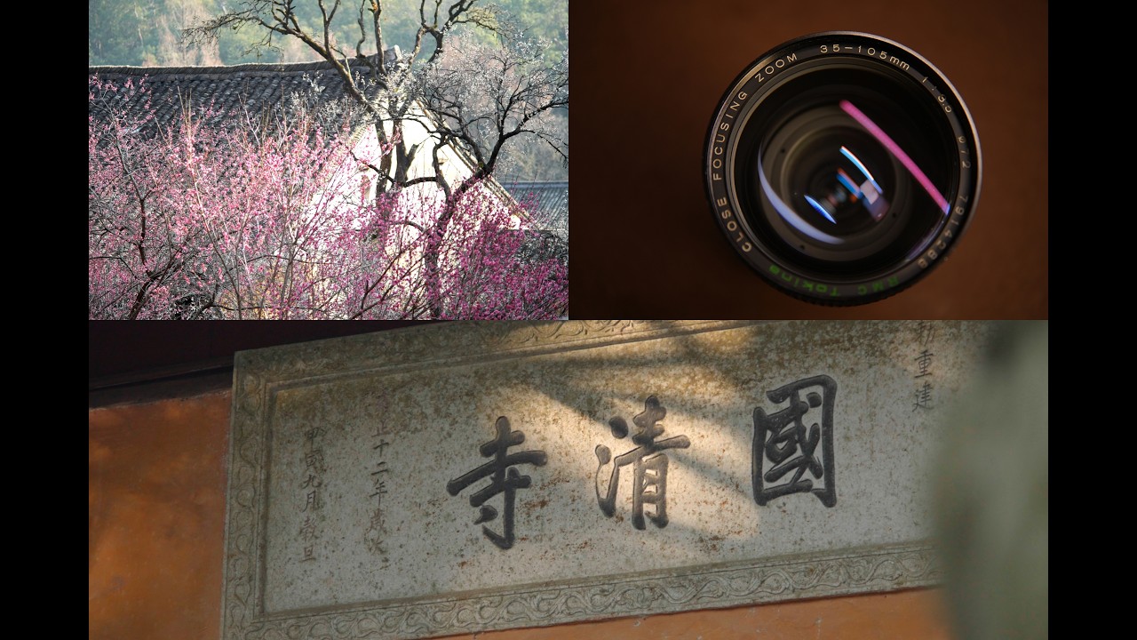 重回国清寺：在千年的隋梅下，补齐去年的遗憾