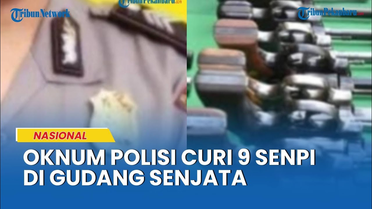 Oknum Polisi NTT Curi 9 Senpi di Gudang Senjata, Dijual ke Bali