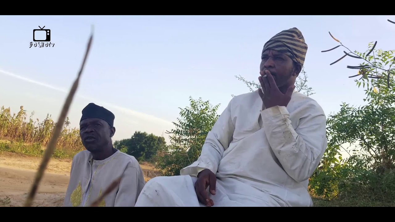 Bosho tv (commander 12)