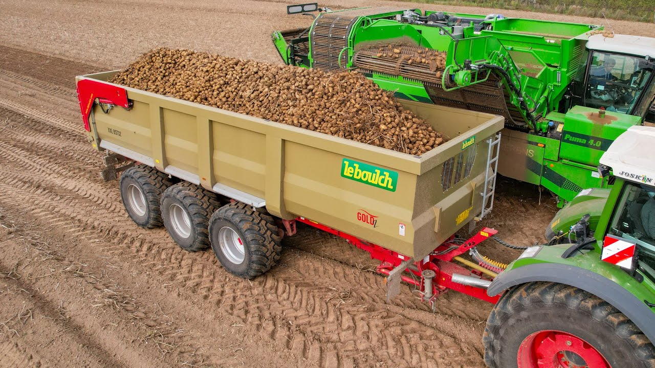 LEBOULCH Gold2 XXL 85T32
