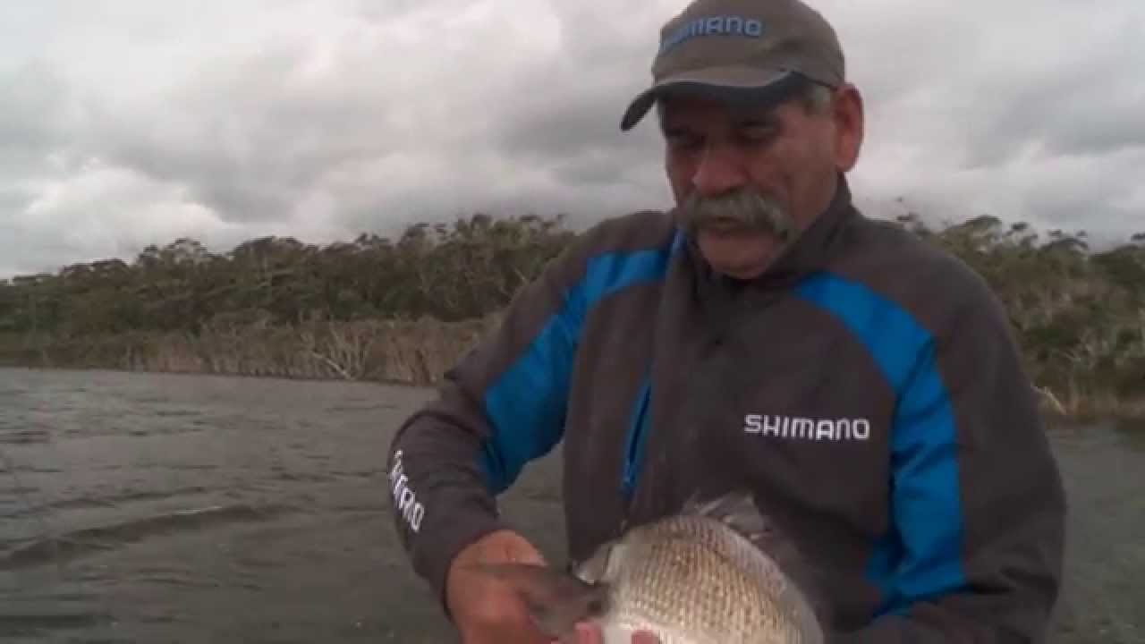 How To Catch Black Bream - SHIMANO FISHING