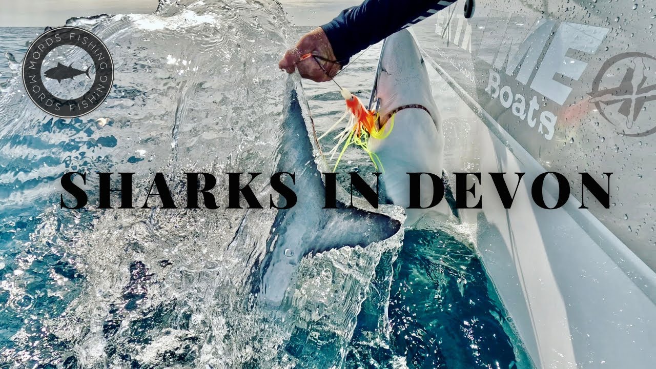 Extreme Shark Fishing In Devon.