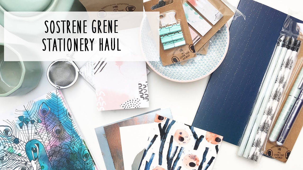 €€€ Günstige aber hübsche Schreibwaren! | Sostrene Grene Haul | Deutsch