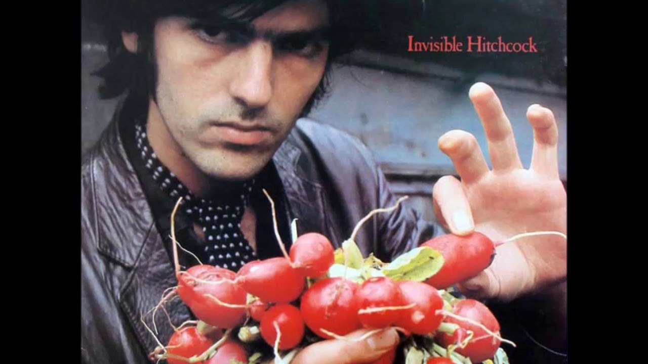 ~Robyn Hitchcock ~ Invisible Hitchcock ~