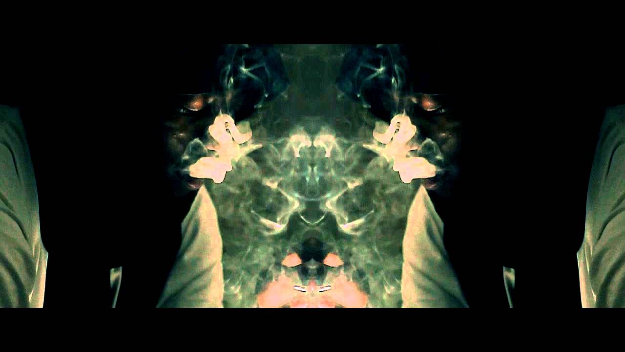 POLITICAL PEAK - WE SMOKE WEED FEAT RATT & LD [OFFICIAL VIDEO]