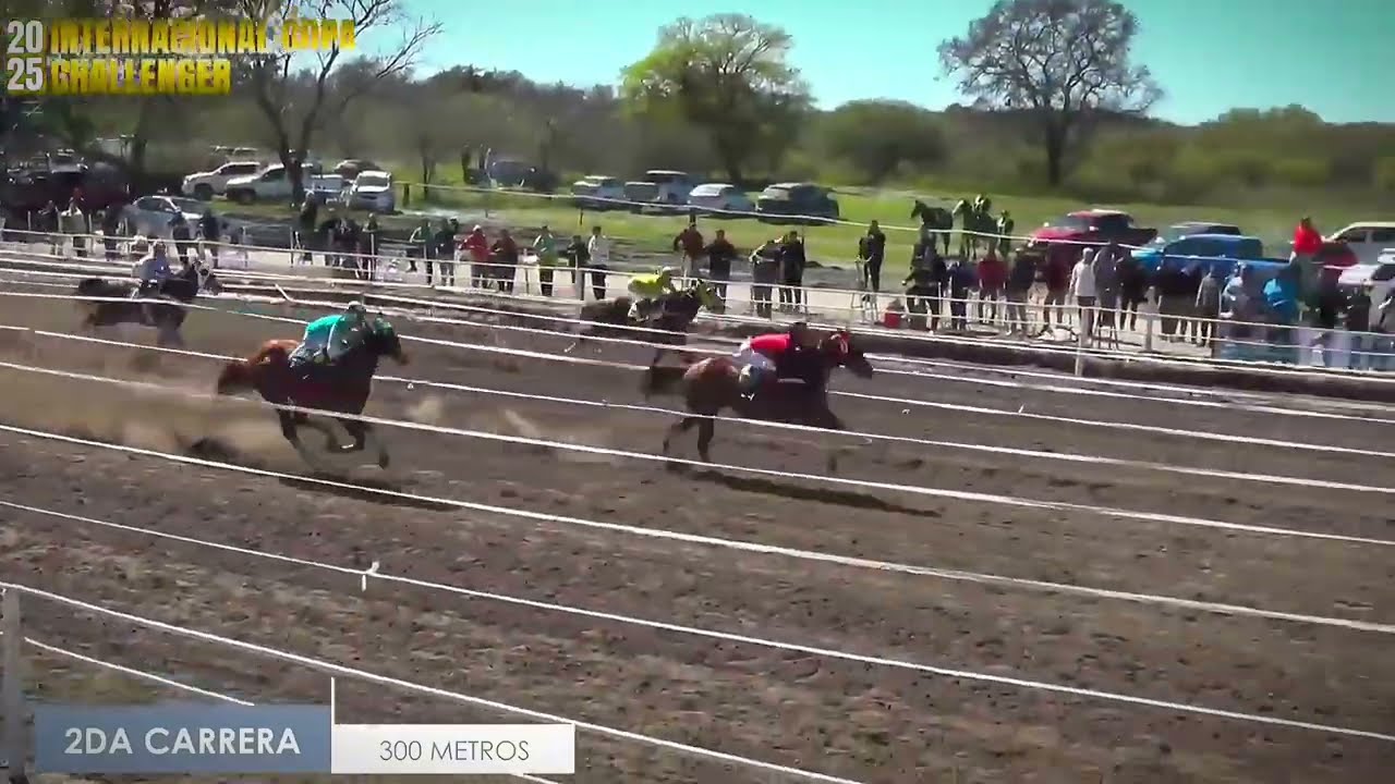 COPA CHALLENGER 2025 | VZ GUERRERA POR&Aacute; - POLLA DE POTRILLOS HARAS VZ 