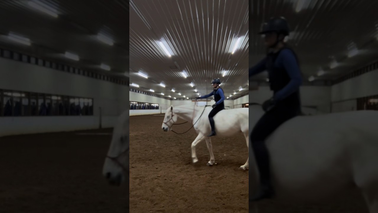 I need to get her a real neckrope and not a leadrope 😔 #rideforapple #naturalhorsemanship #horse