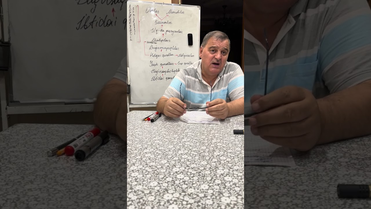 İbtidailər, bağırsaqboşluqlular-1