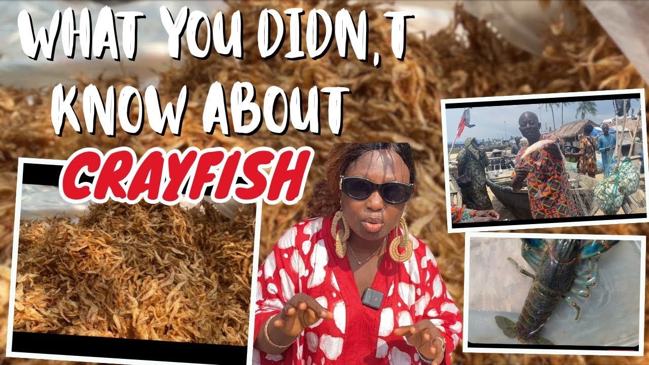 What you didn't know about crayfish. #food #ingredient #preparation #seafoods #aishizzleflames
