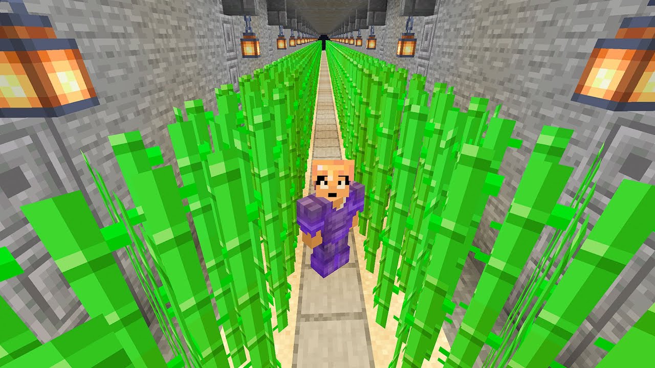 地下に巨大サトウキビ畑できました！！PART51【マイクラ】