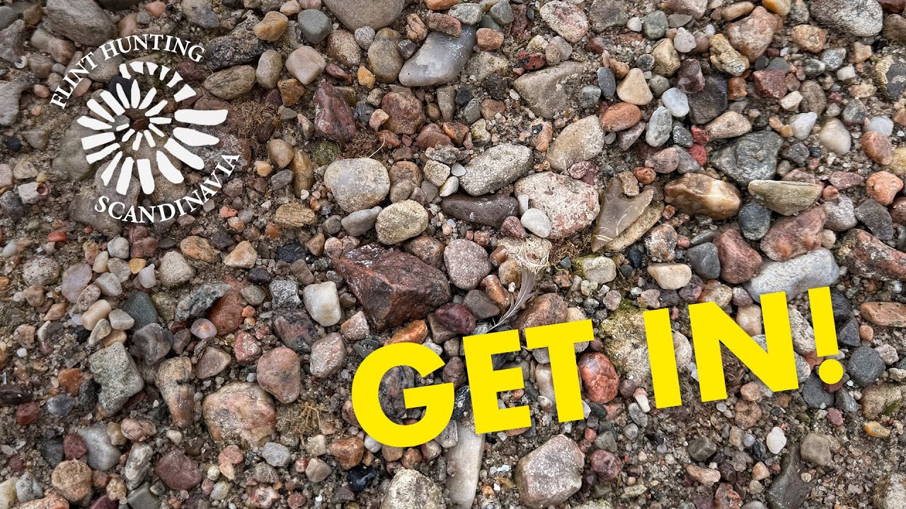 Flint Hunting Scandinavia #119 FIND OF THE YEAR!!! 😱