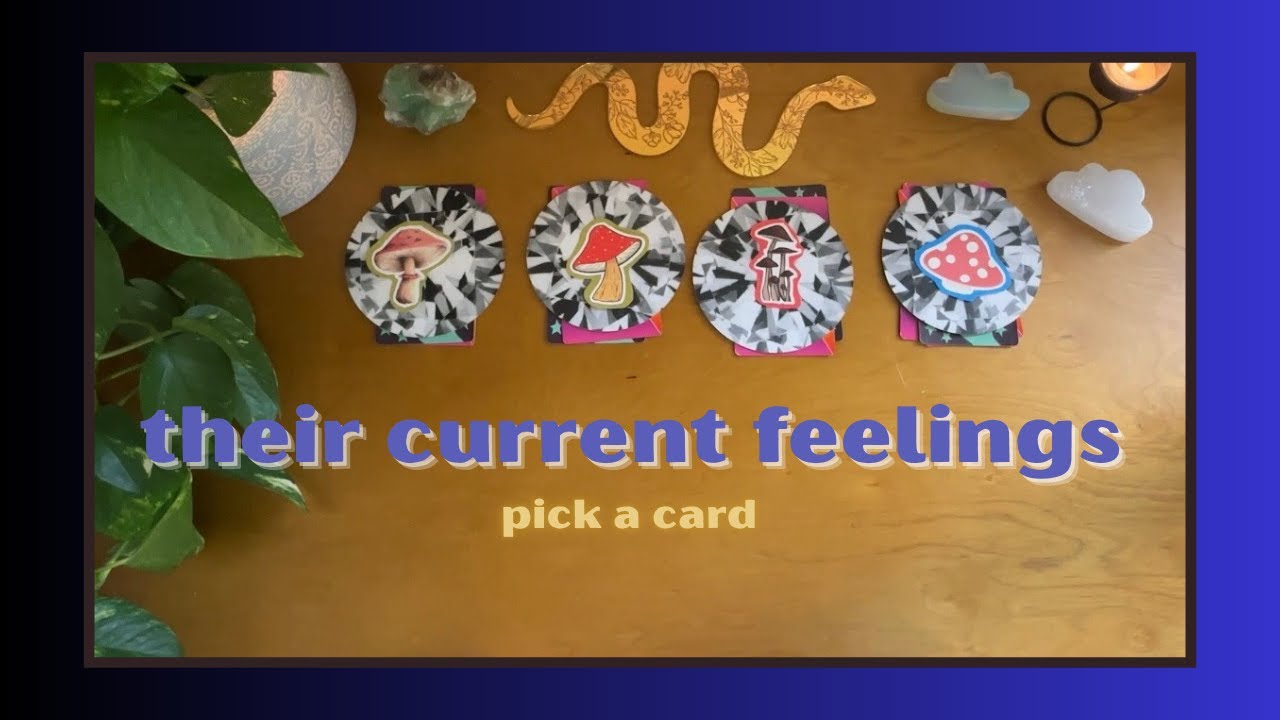 their current feelings [ tarot pick a card ]