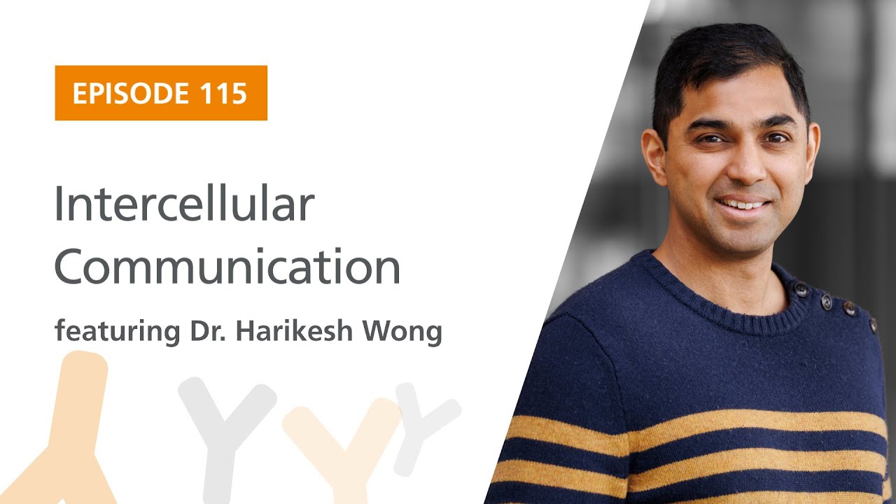 Intercellular Communication featuring Dr. Harikesh Wong | The Immunology Podcast