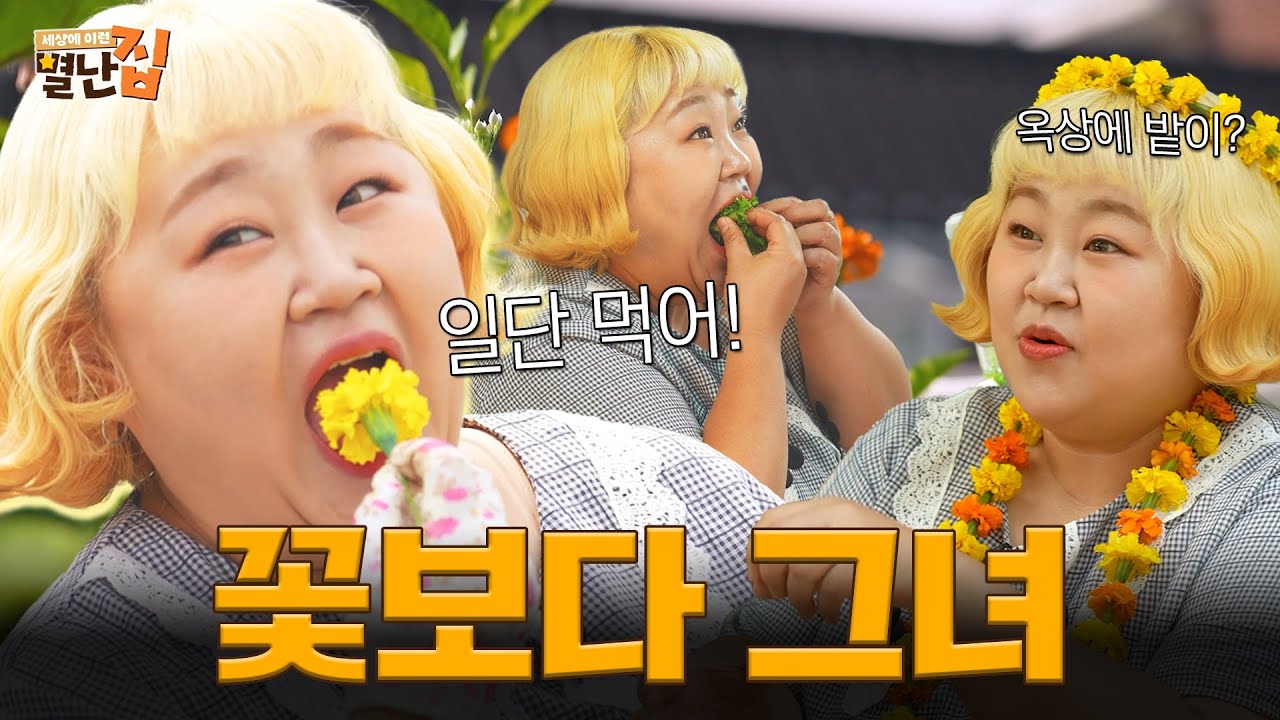 옥탑방 아닙니다! 꽃도 먹고 힐링 제대로 하는 도시 속 옥탑밭 | 별난집 2화