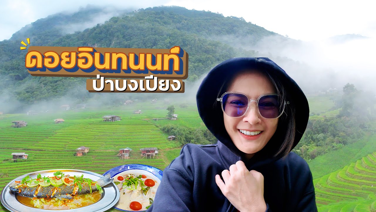 สวยที่สุดในไทยไหม!? นาขั้นบันได ป่าบงเปียง l ดอยอินทนนท์ เที่ยวเชียงใหม่ Day4