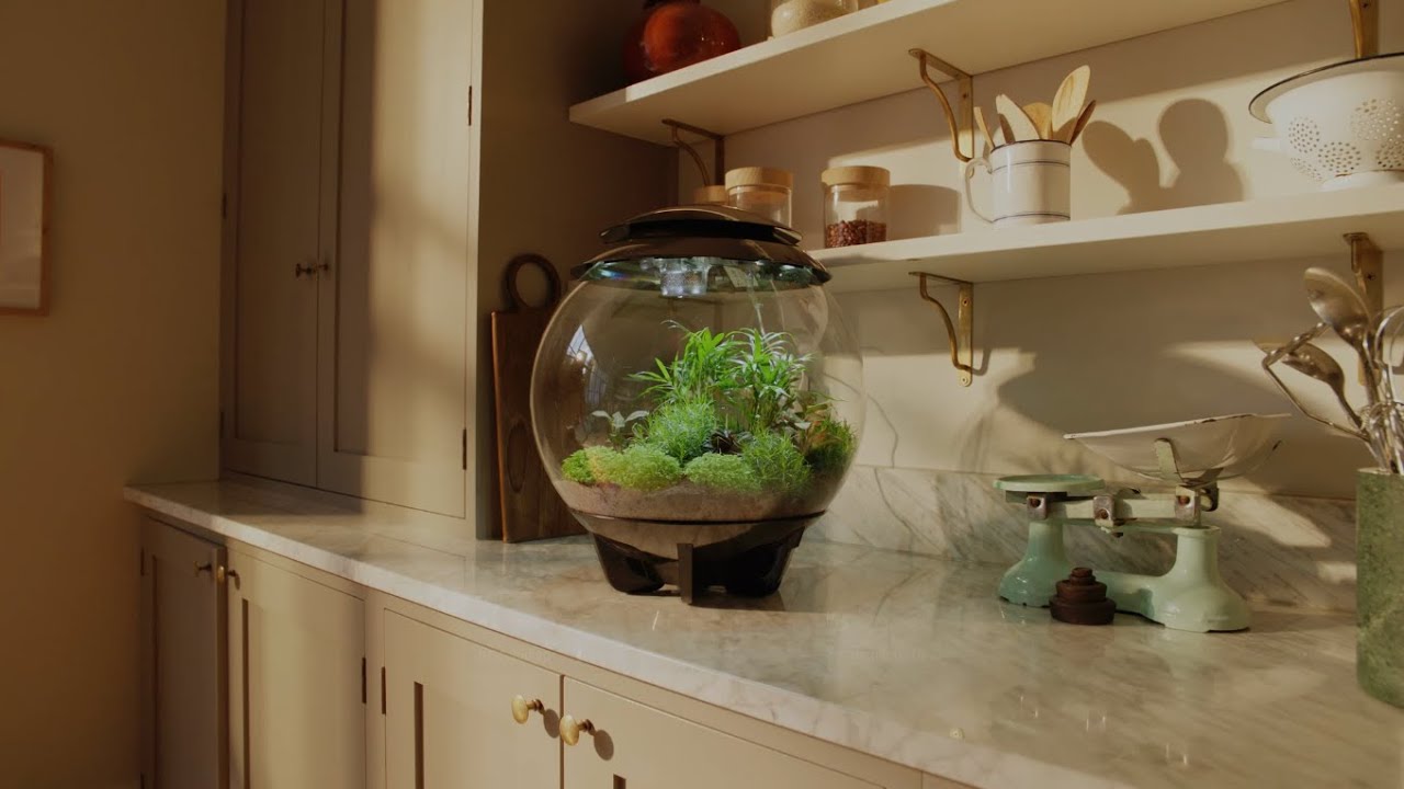 biOrb AIR 30 ⎸ The Ultimate Terrarium for Plant Enthusiasts