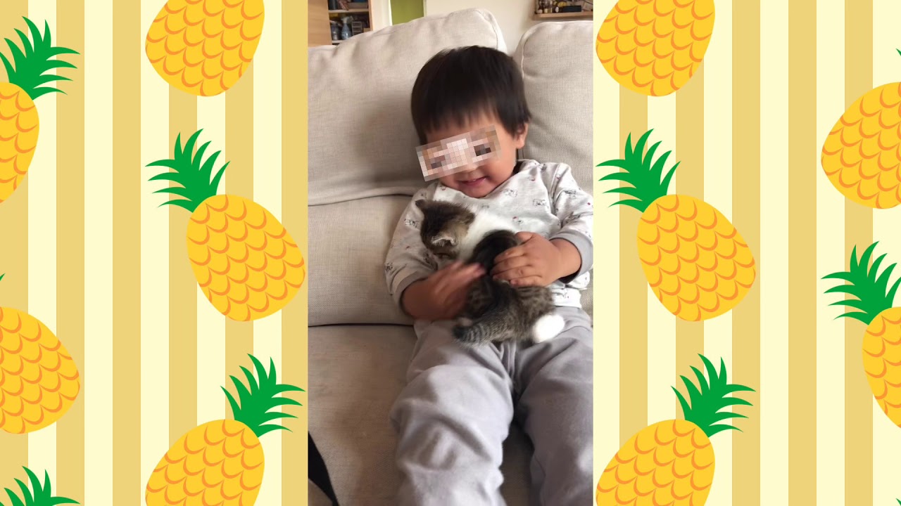 子供と猫の癒し動画