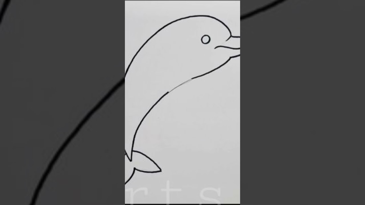 drawing a dolphin 🐬