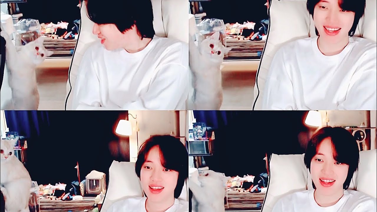 220313 냥집사 니엘 라방 (ft. 사고뭉치 두콩쓰로 ㄸㅐ이른 방종🥺