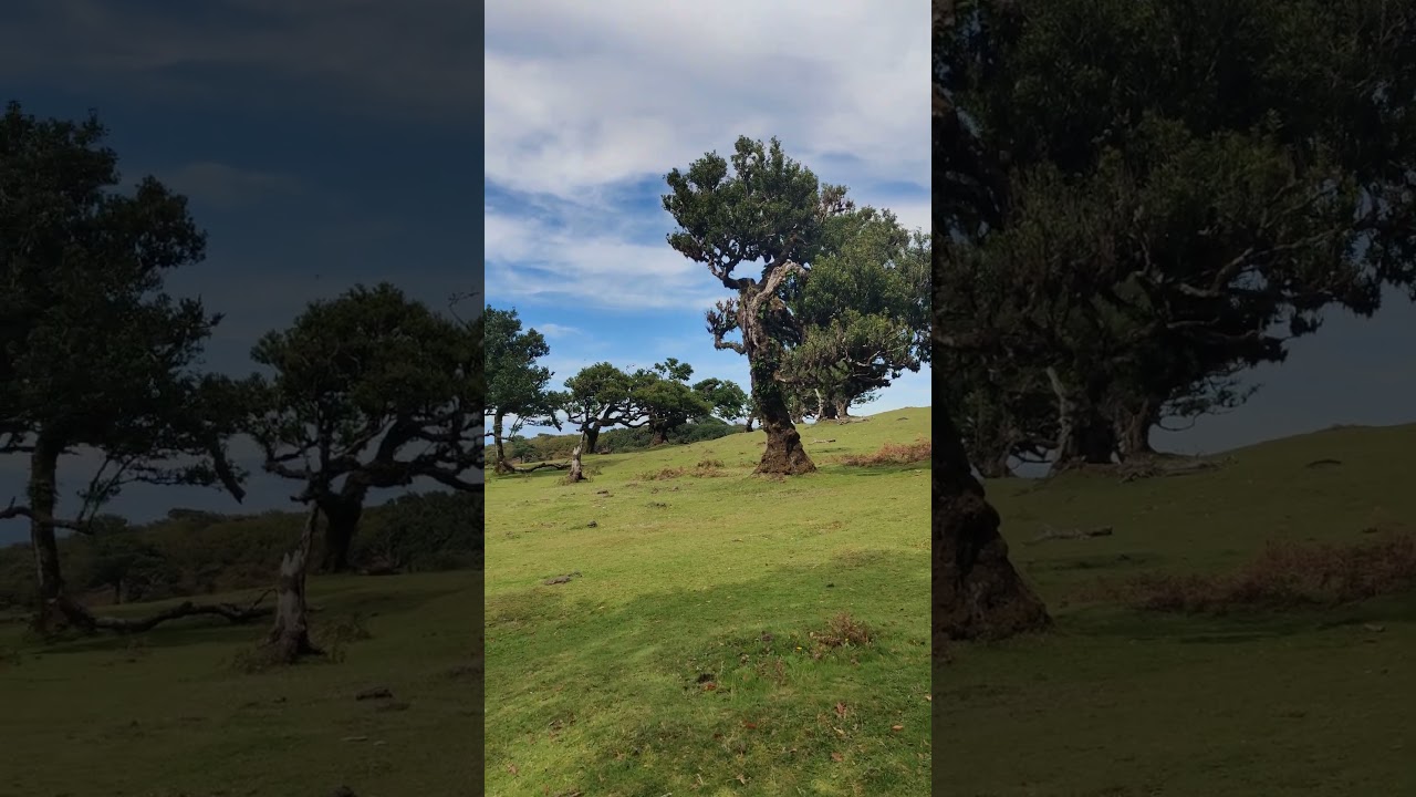 Madeiras sch&ouml;nste Ausflugsziele: Der 