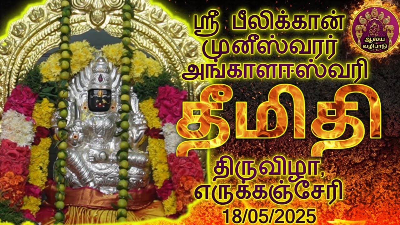 எருக்கஞ்சேரி அருள்மிகு ஸ்ரீ பீலிக்கான் முனீஸ்வரர் அங்காள ஈஸ்வரி காளியம்மாள் 53ஆம் ஆண்டு திருவிழா