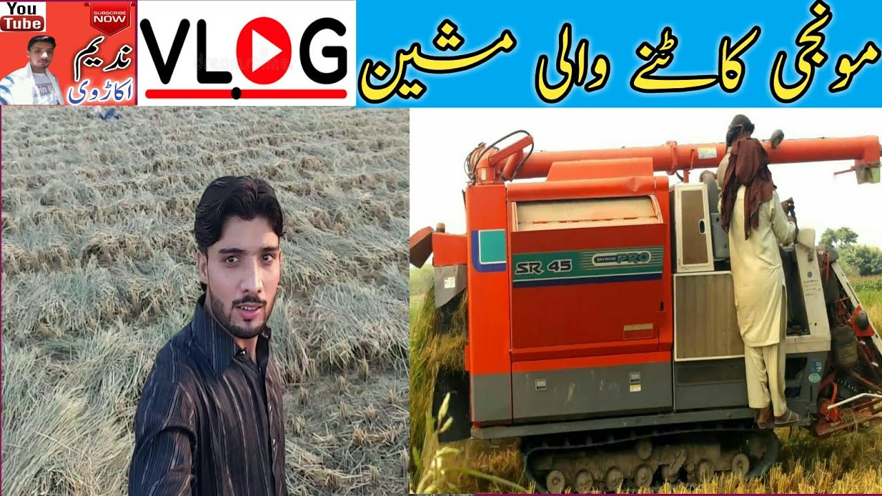Munji katne wali machine || Rice cutting machine || New Vlog 2020 || Nadeem Okarvi.