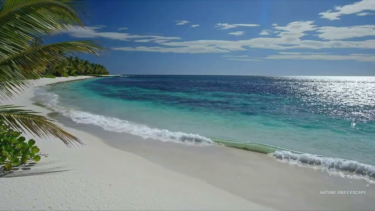 Deep Sleep 💤 Whitehaven Beach Vibe Ocean Sounds | Relax • Study • Focus | 12 Hours 4K  🌊🌴