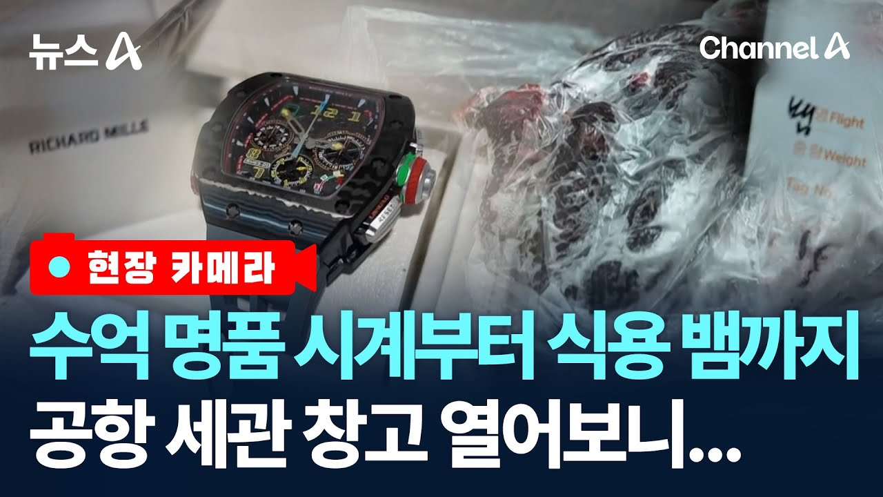 [현장 카메라]억대 시계부터 뱀까지&hellip;공항 세관창고 열어보니/ 채널A / 뉴스A