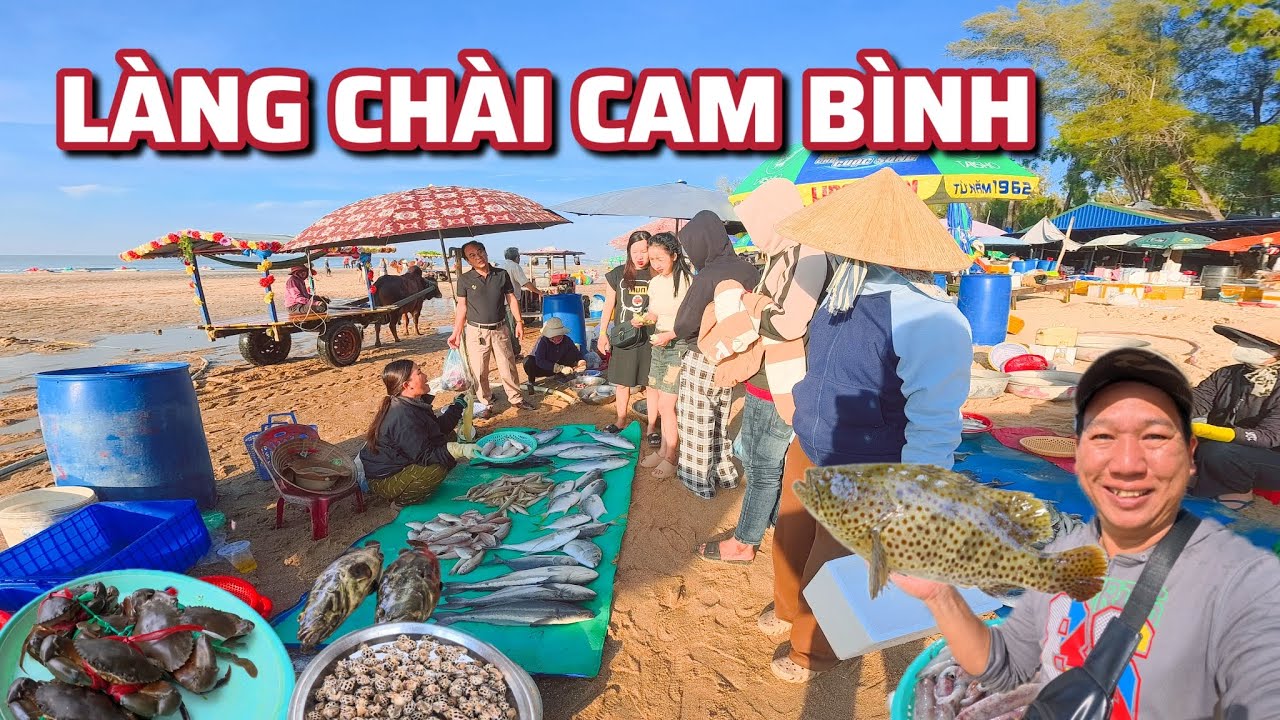 Làng Chài Cam Bình - Thiên Đường Hải Sản Giá Rẻ Bất Ngờ Vì Sao ?- Đầu  Năm 2026.