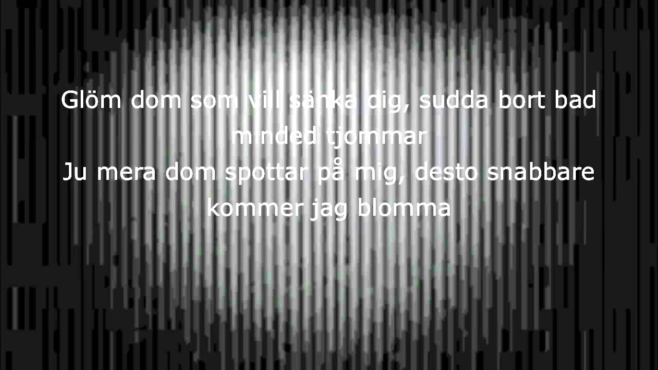 Kapten R&ouml;d - Ju mer dom spottar ( LYRICS )