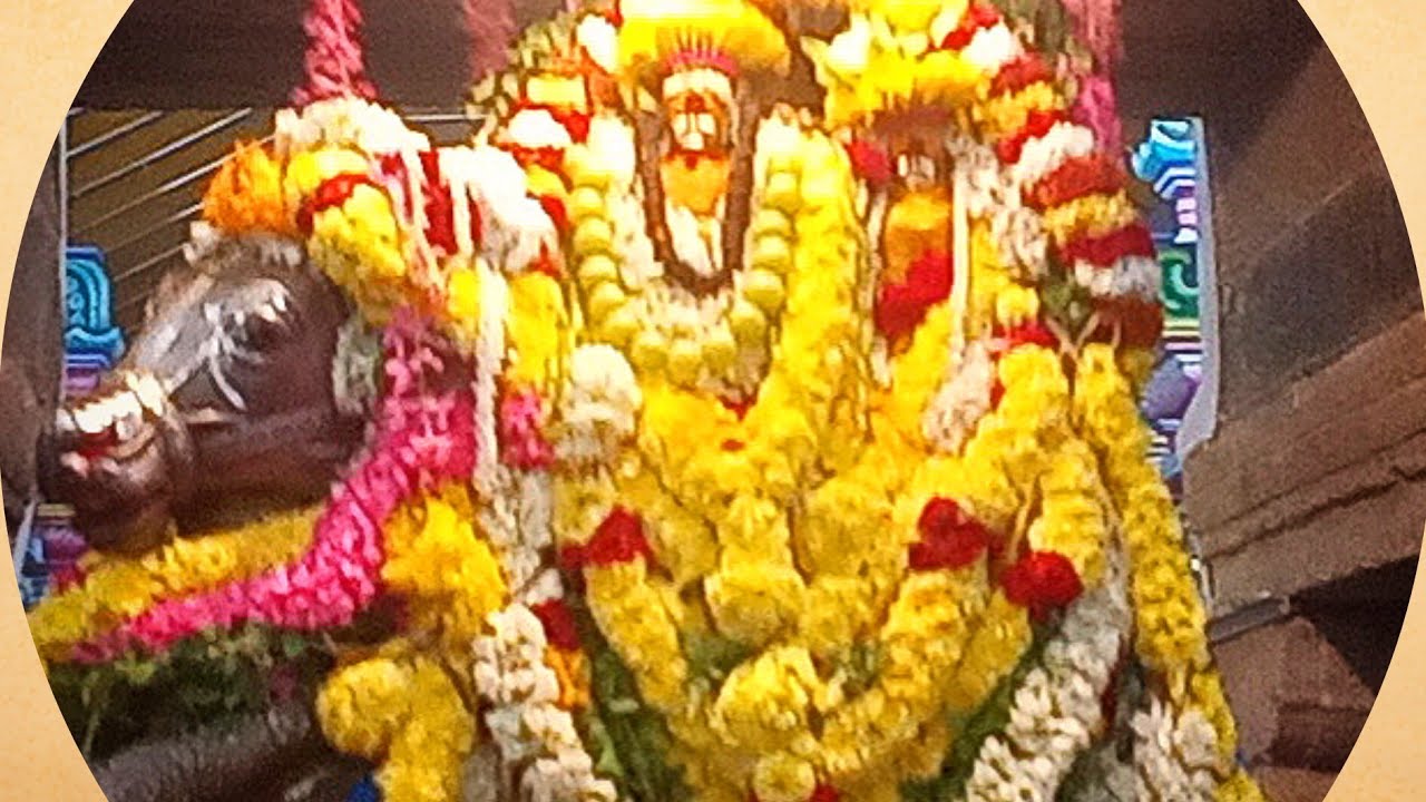 Sivakasi Sri Viswanadha Swamy Tirukoil - Maha Pirathosam - 14.02.2026
