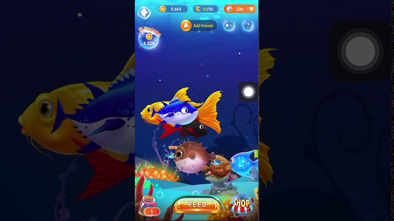 Clipclaps Farming Tricks for Coins and Shell