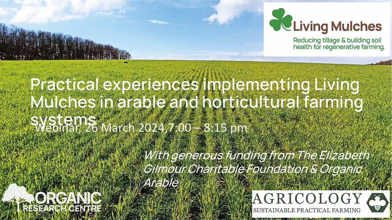 Practical experiences implementing Living Mulches in arable and horticultural farming systems