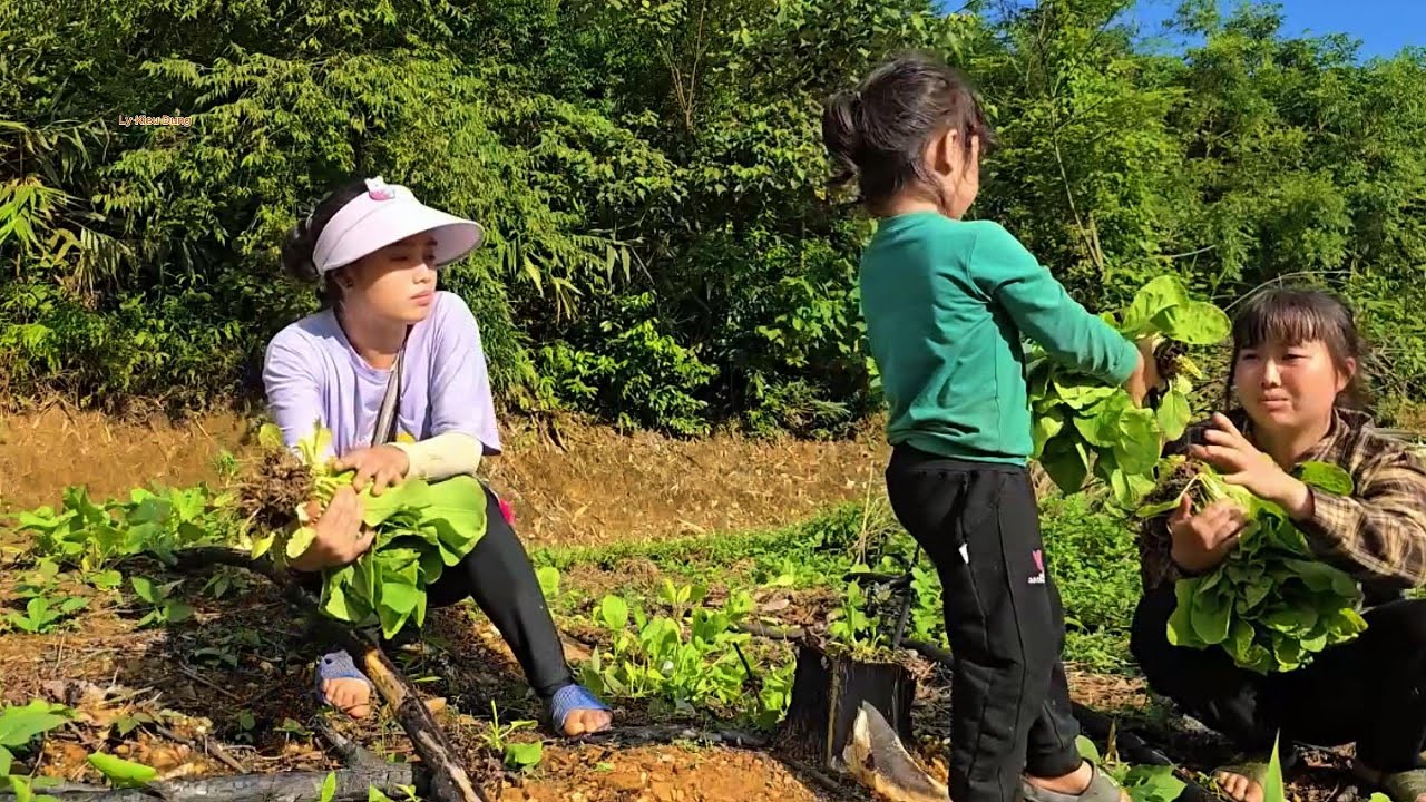 Fate Brings Two Single Moms Together | The Story of Sung Luyen and Ly Thi Di