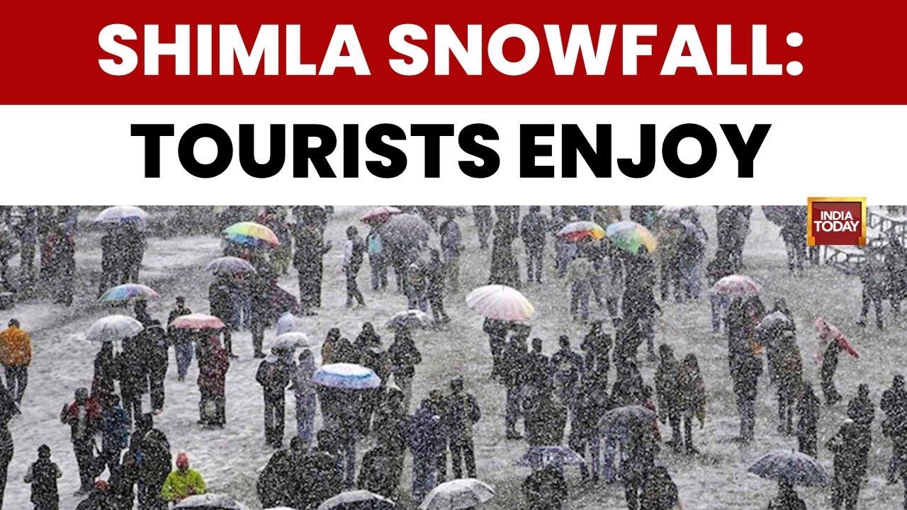 Ground Report: Shimla transforms into a white wonderland, tourists enjoy fresh snowfall