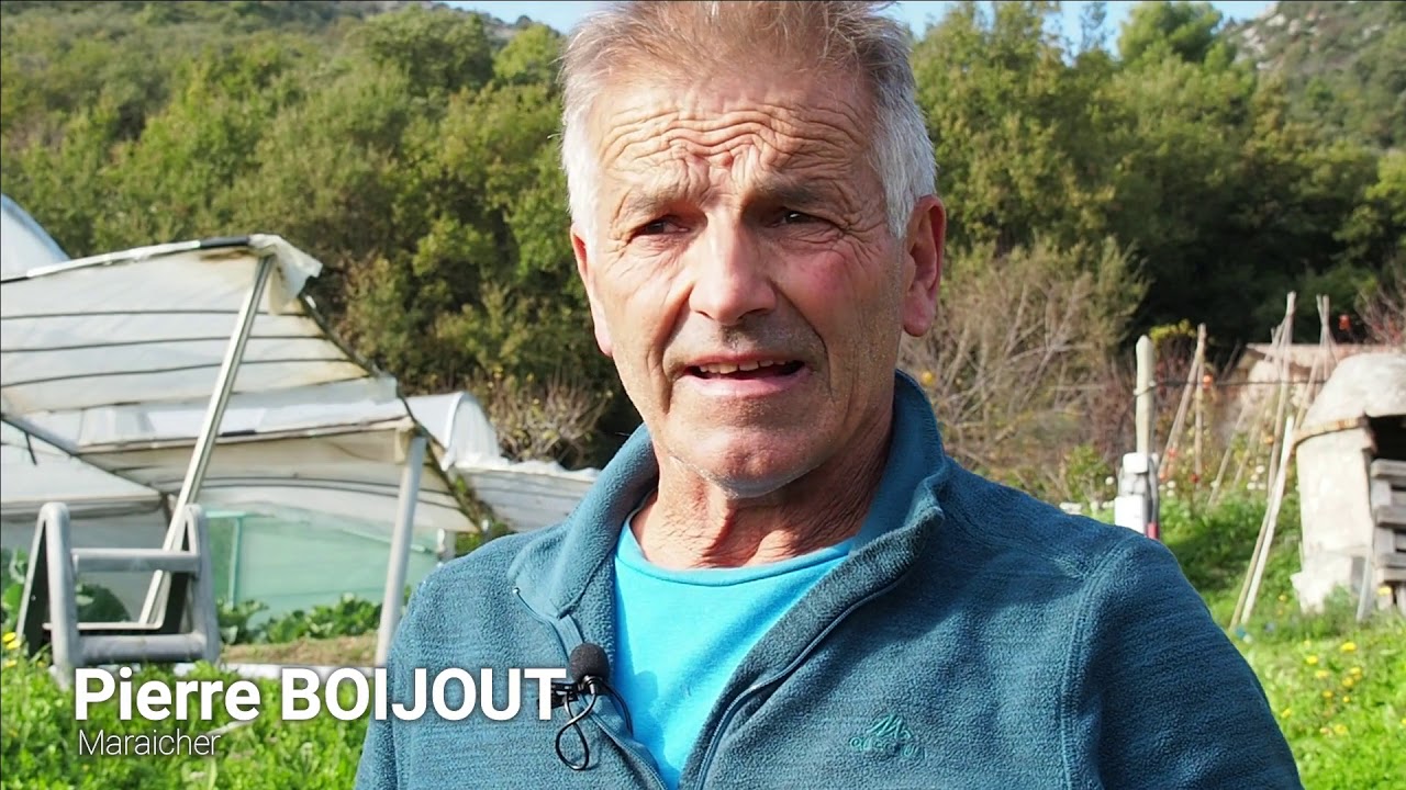 Les Planches permanentes - Pratiques innovantes en maraichage Bio