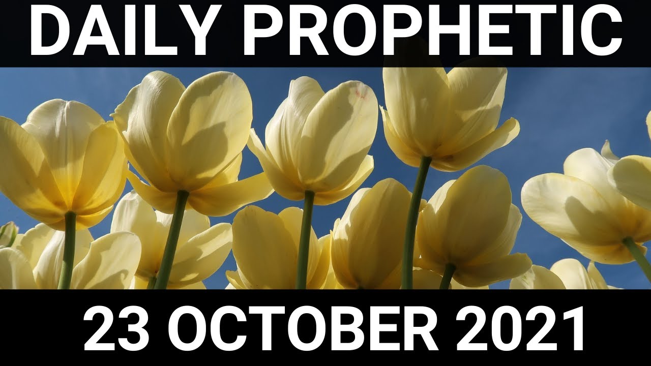 Daily Prophetic 23 October 2021 4 of 7