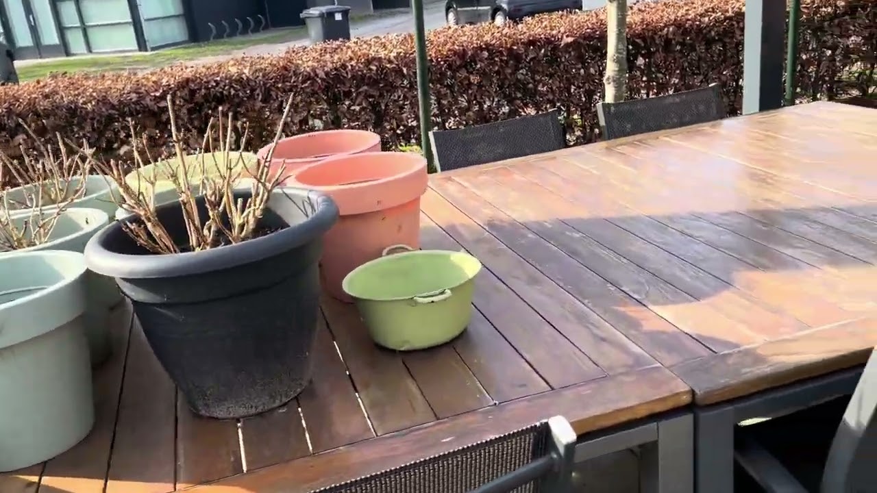 Luidklokken Bergen op Zoom 