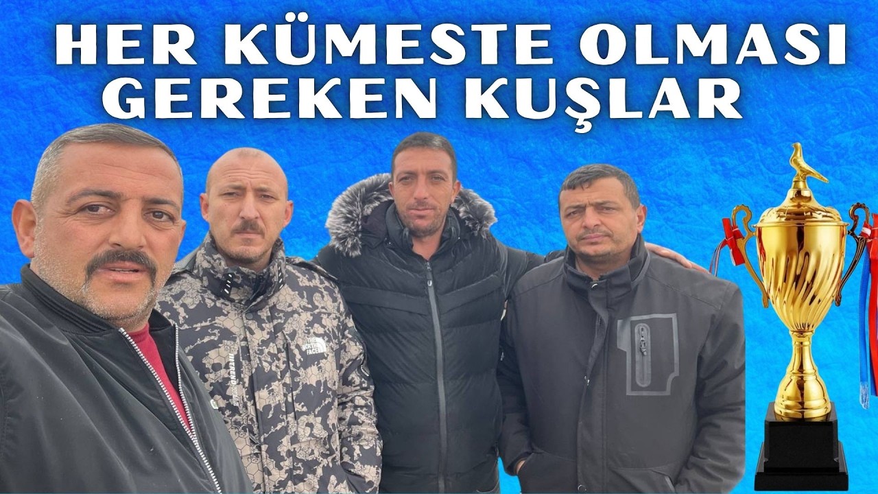 Yıllarca Hizmet Edilen Kuşlar Hazır ve Damızlıkçılar Kaçırmasın bomba Kümesten Kaçırılmayacak Kuşlar