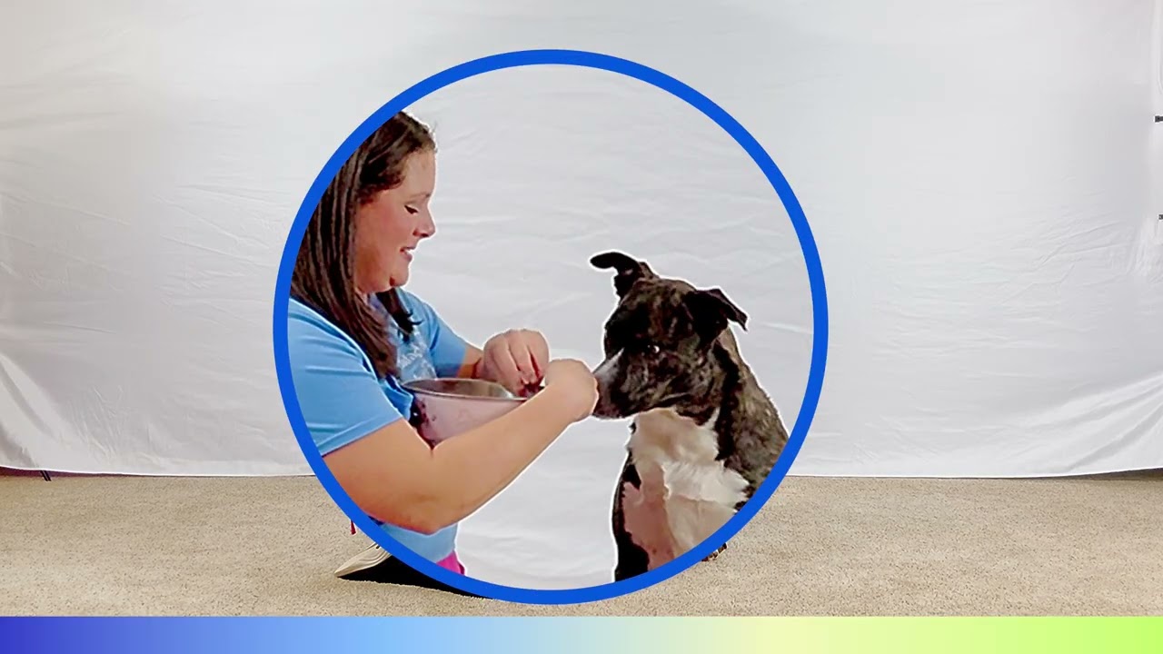 Teach Calm Food Manners Without Commands | Puppy & Rescue Dog Training
